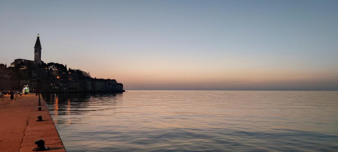 Davor Holiday Apartments Rovinj Extérieur photo